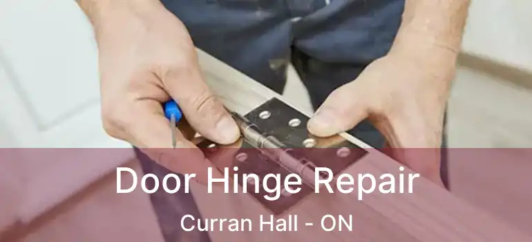 Door Hinge Repair Curran Hall - ON