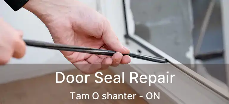 Door Seal Repair Tam O shanter - ON