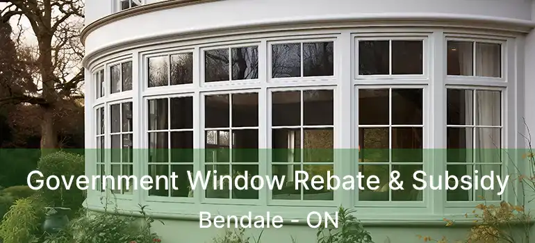  Government Window Rebate & Subsidy Bendale - ON