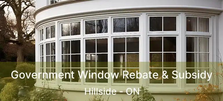  Government Window Rebate & Subsidy Hillside - ON