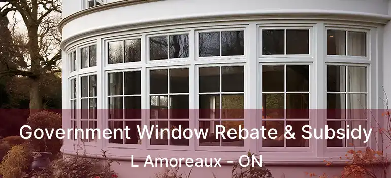  Government Window Rebate & Subsidy L Amoreaux - ON