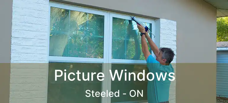 Picture Windows Steeled - ON