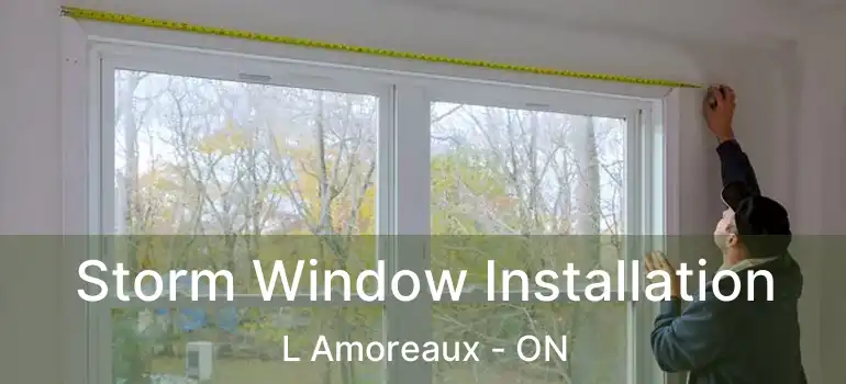 Storm Window Installation L Amoreaux - ON