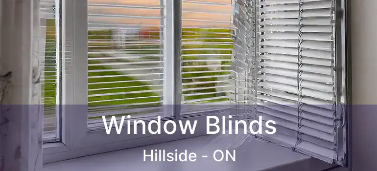 Window Blinds Hillside - ON