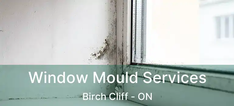 Window Mould Services Birch Cliff - ON