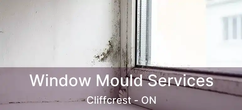 Window Mould Services Cliffcrest - ON
