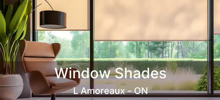 Window Shades L Amoreaux - ON