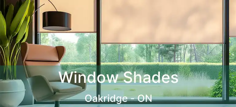 Window Shades Oakridge - ON
